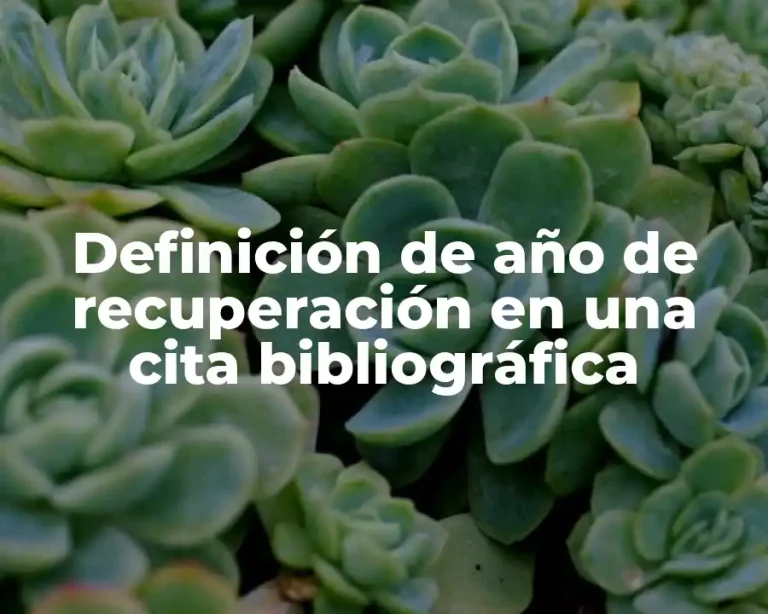 Definición de año de recuperación en una cita bibliográfica