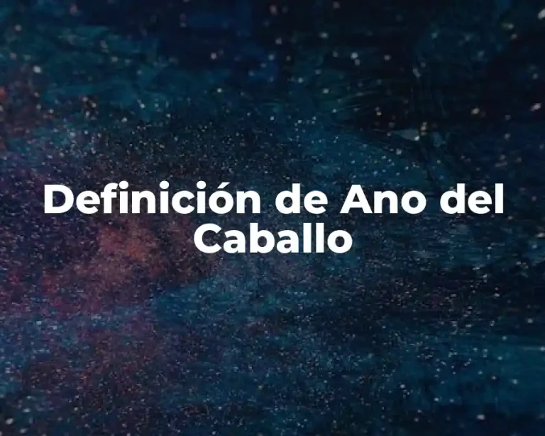 Definición de Ano del Caballo