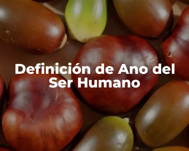 Definición de Ano del Ser Humano