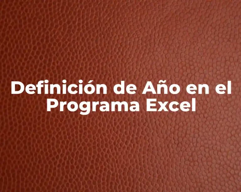 Definición de Año en el Programa Excel