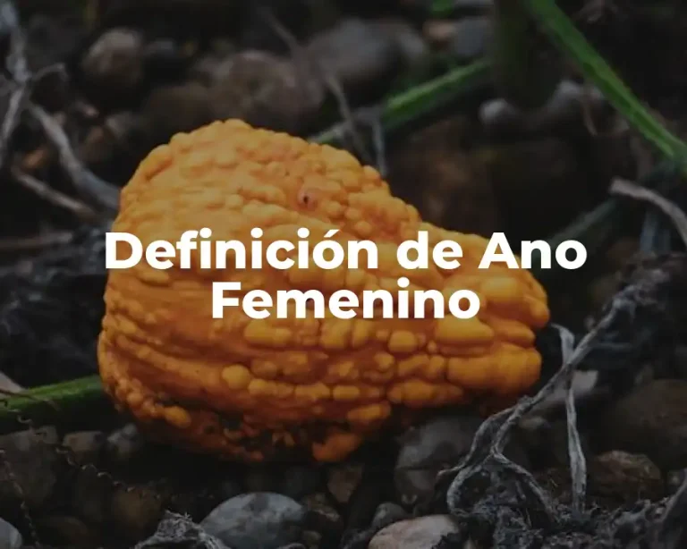 Definición de Ano Femenino