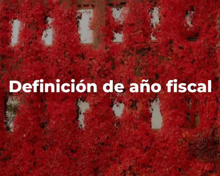 Definición de año fiscal