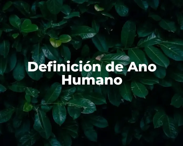 Definición de Ano Humano