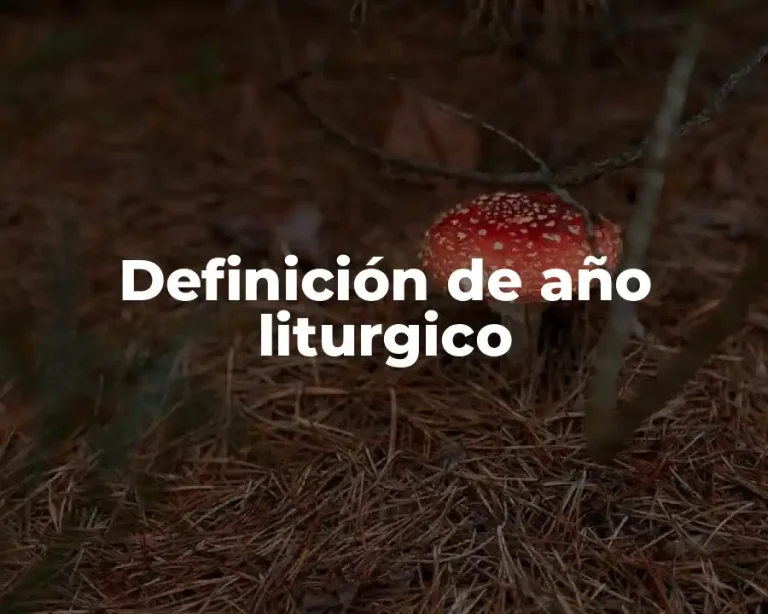 Definición de año liturgico