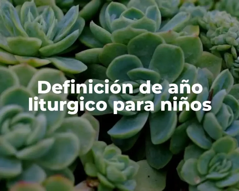 Definición de año liturgico para niños