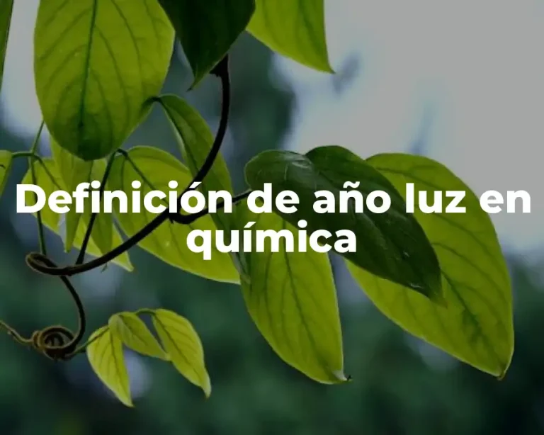 Definición de año luz en química