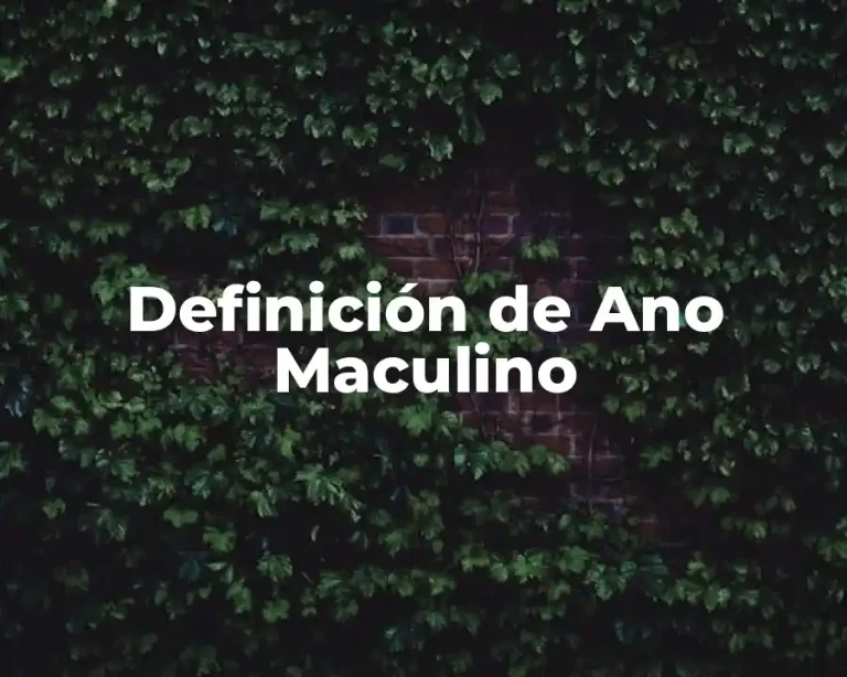 Definición de Ano Maculino