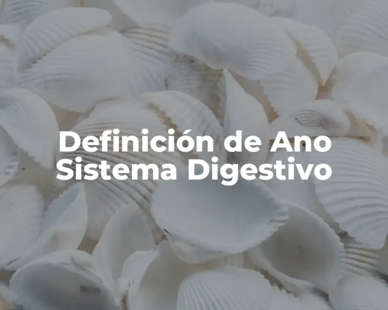 Definición de Ano Sistema Digestivo