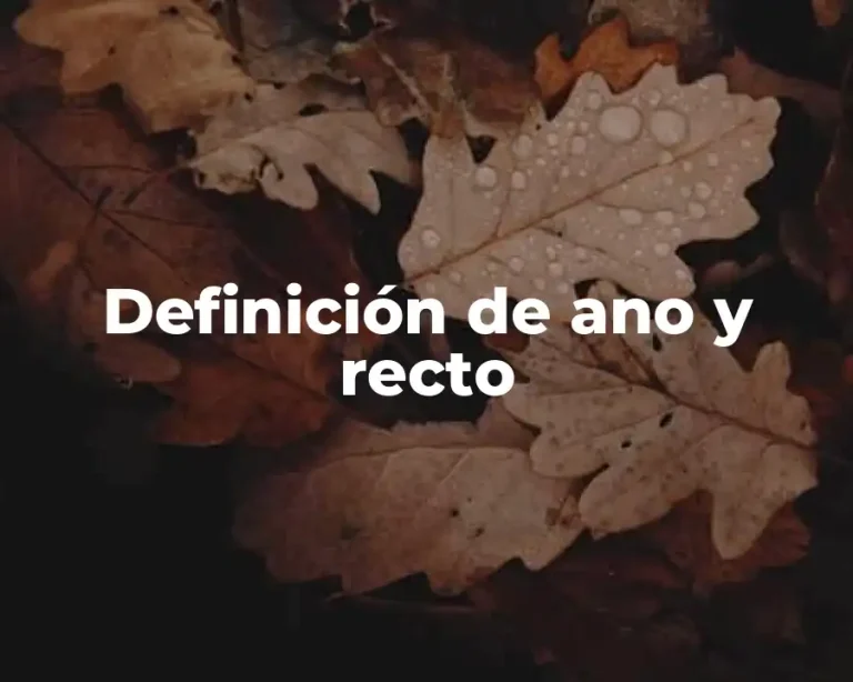 Definición de ano y recto