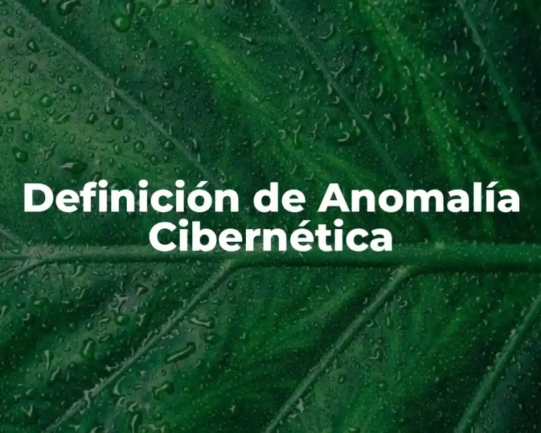 Definición de Anomalía Cibernética