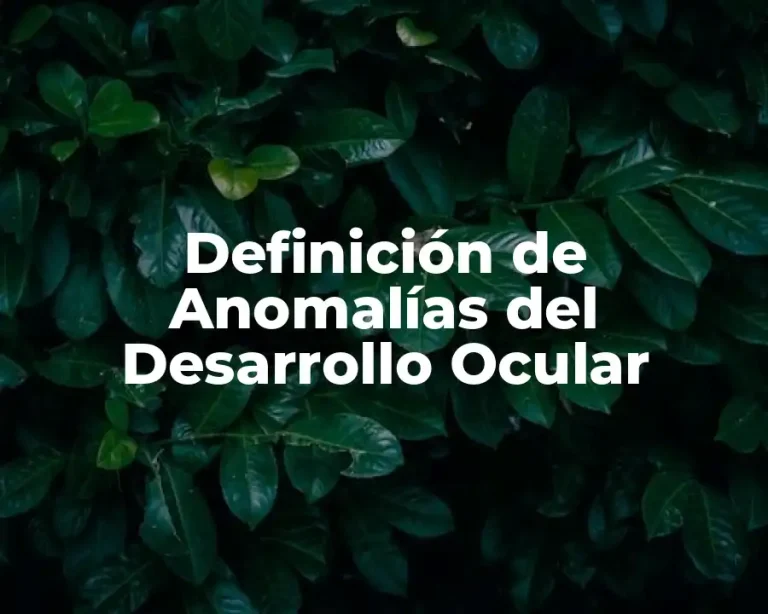 Definición de Anomalías del Desarrollo Ocular