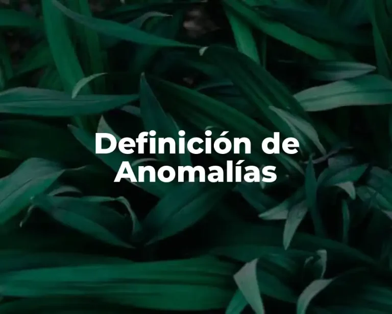 Definición de Anomalías