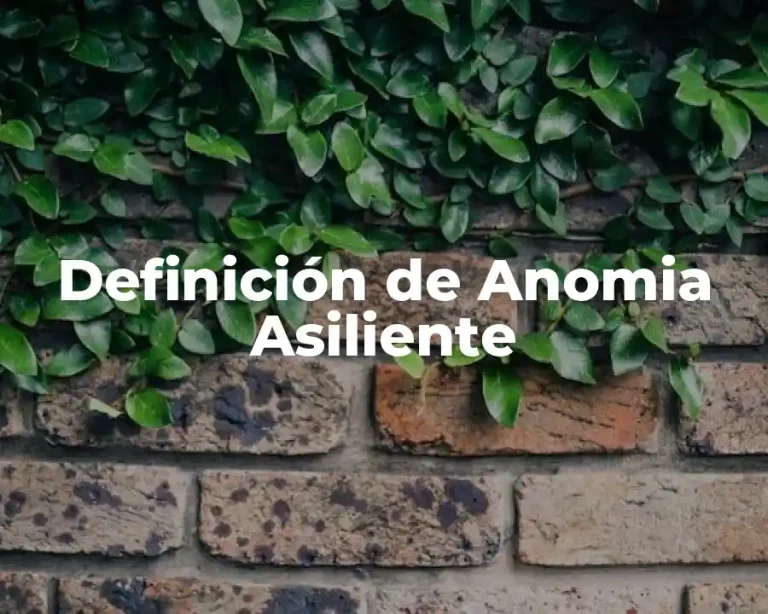 Definición de Anomia Asiliente