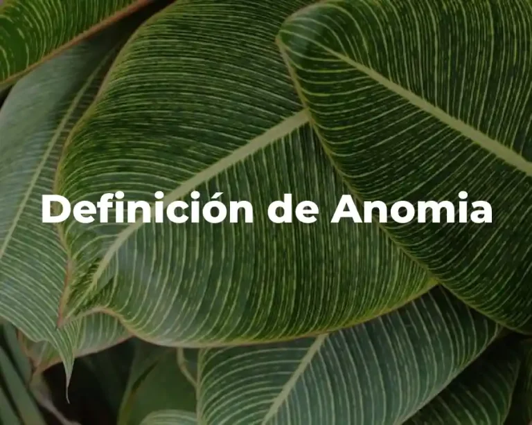 Definición de Anomia