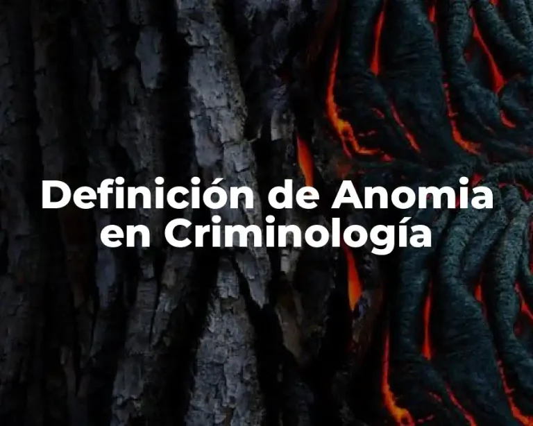 Definición de Anomia en Criminología