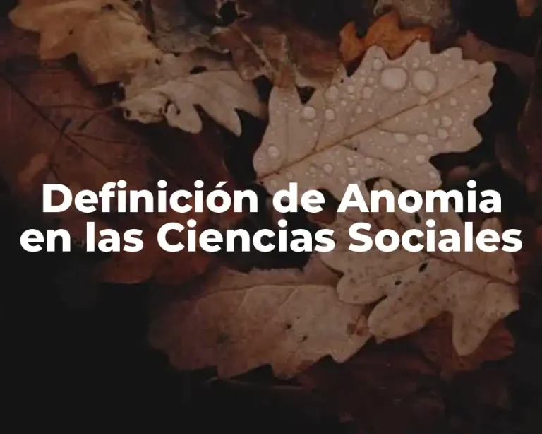 Definición de Anomia en las Ciencias Sociales