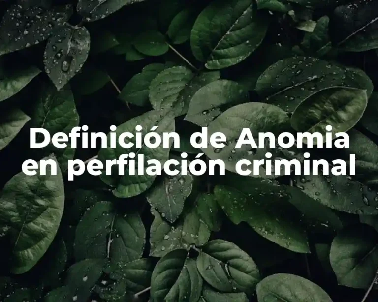 Definición de Anomia en perfilación criminal