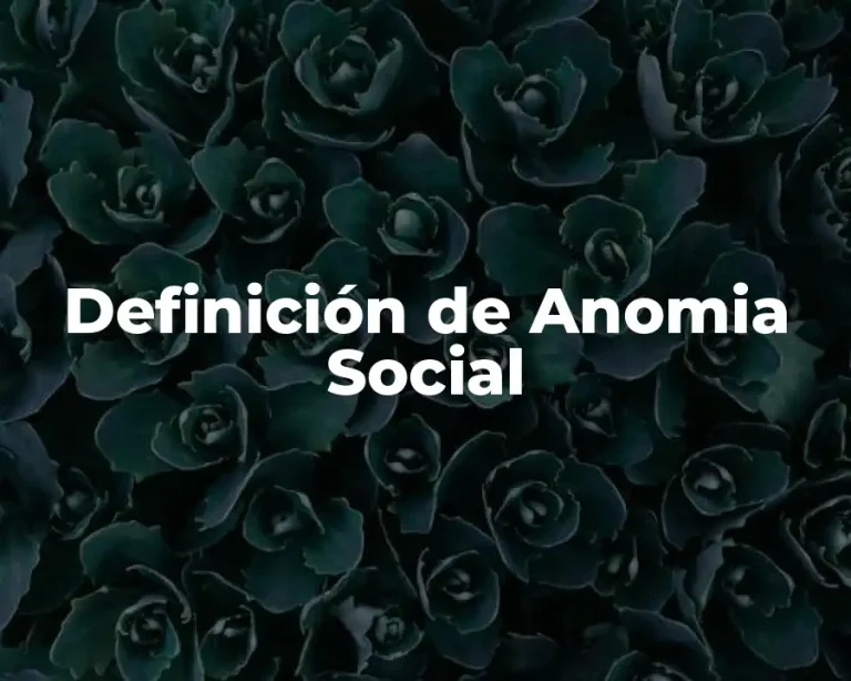 Definición de Anomia Social