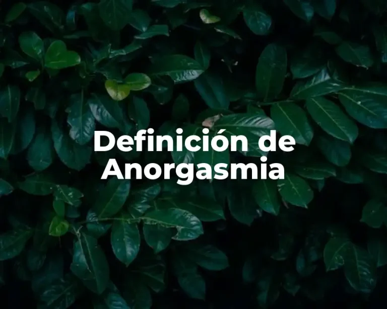 Definición de Anorgasmia