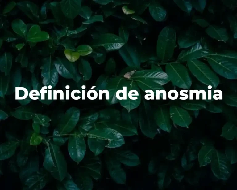Definición de anosmia