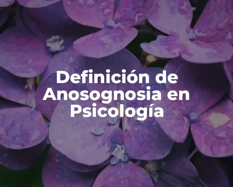 Definición de Anosognosia en Psicología