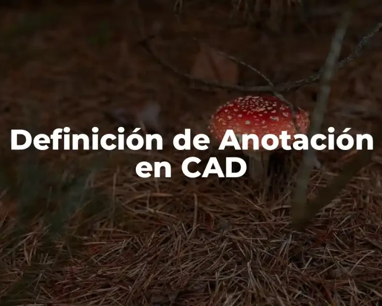 Definición de Anotación en CAD