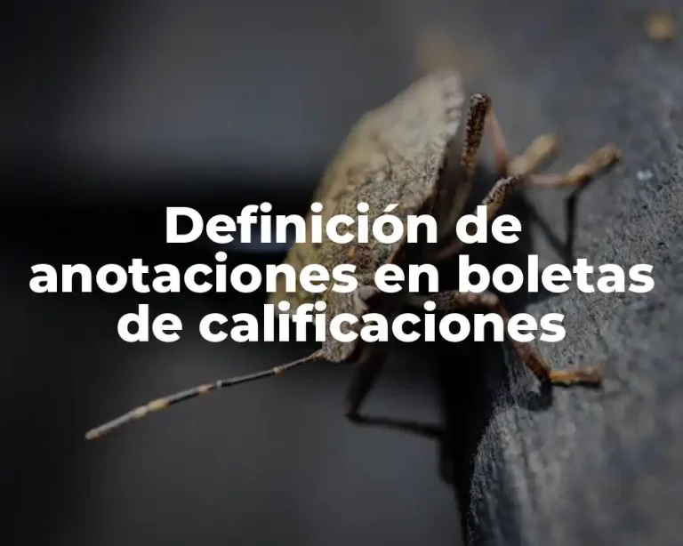 Definición de anotaciones en boletas de calificaciones