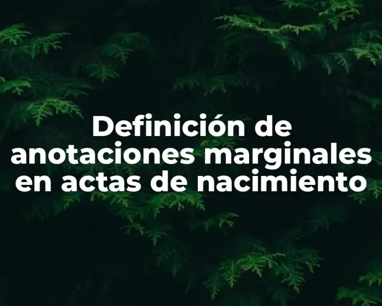 Definición de anotaciones marginales en actas de nacimiento
