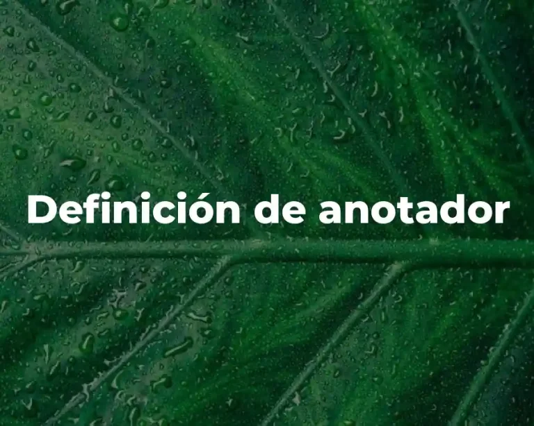 Definición de anotador