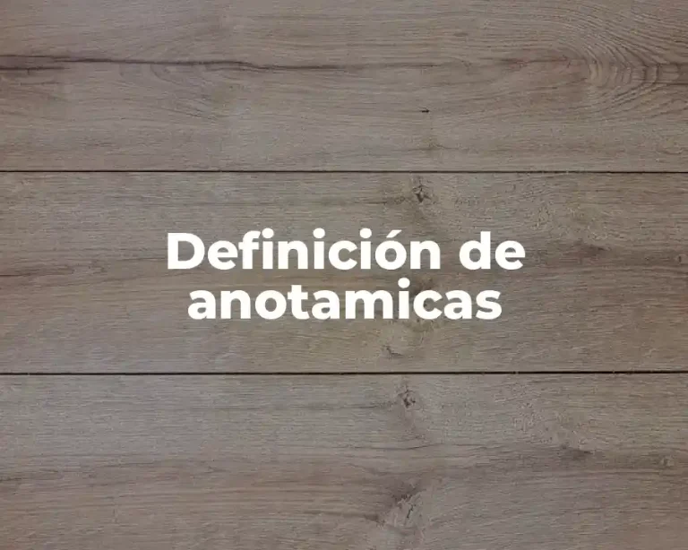 Definición de anotamicas
