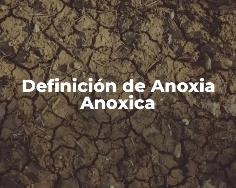 Definición de Anoxia Anoxica