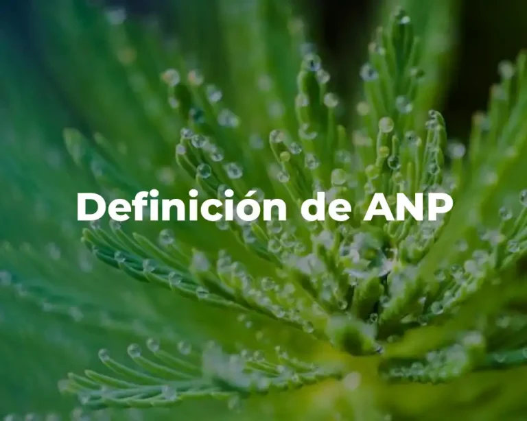 Definición de ANP