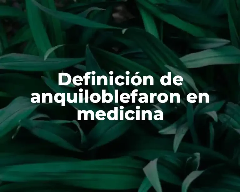 Definición de anquiloblefaron en medicina