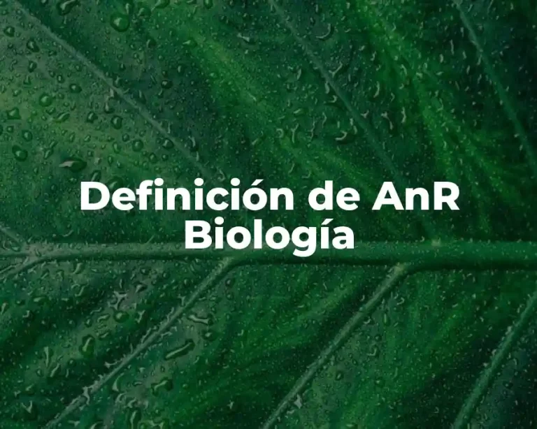 Definición de AnR Biología