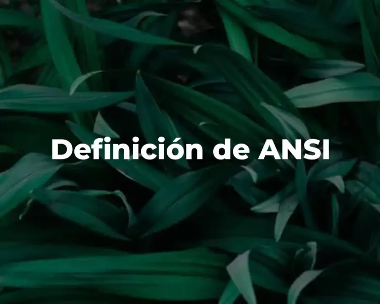 Definición de ANSI