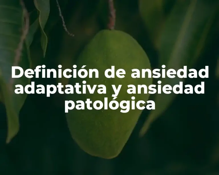 Definición de ansiedad adaptativa y ansiedad patológica