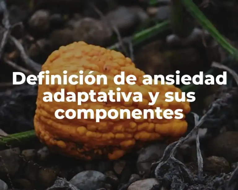 Definición de ansiedad adaptativa y sus componentes