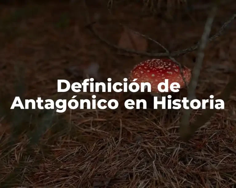 Definición de Antagónico en Historia