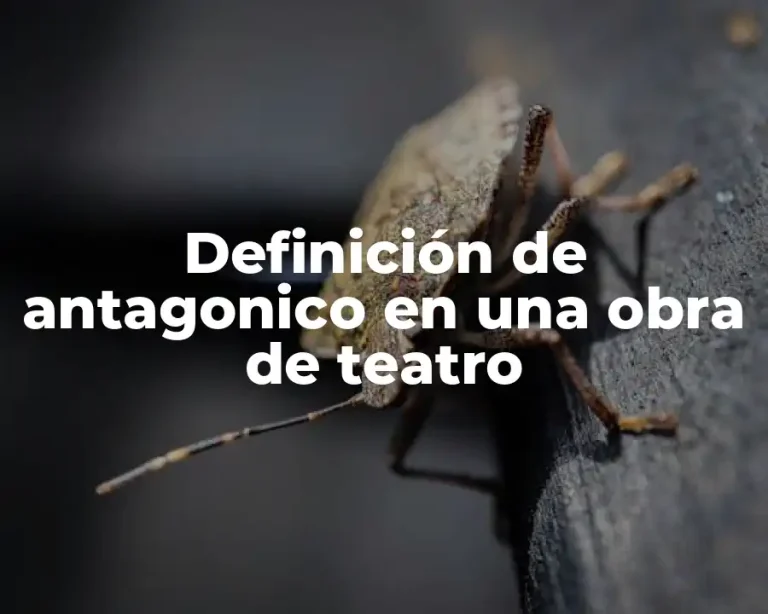 Definición de antagonico en una obra de teatro