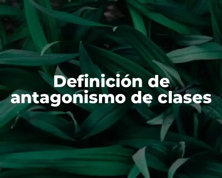 Definición de antagonismo de clases
