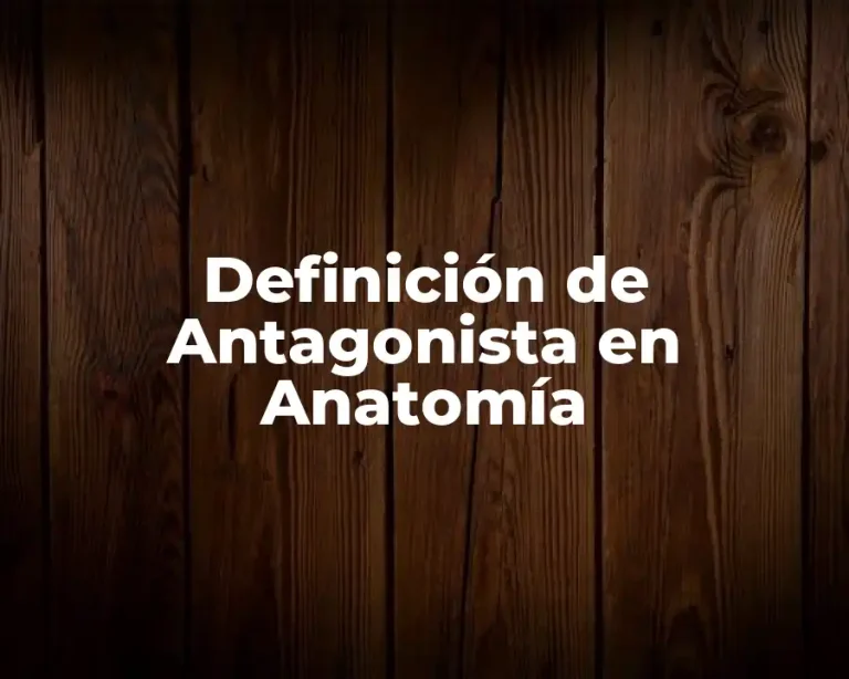 Definición de Antagonista en Anatomía