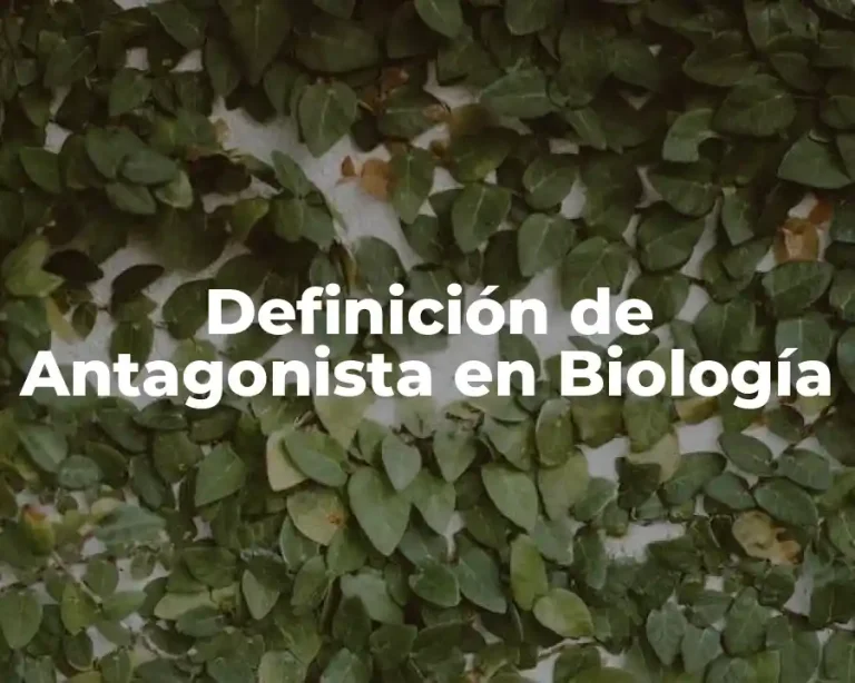 Definición de Antagonista en Biología