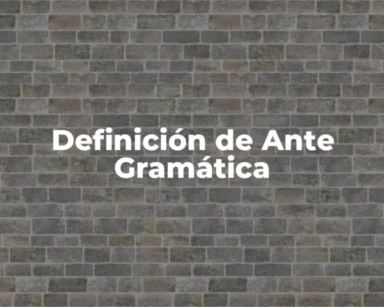 Definición de Ante Gramática