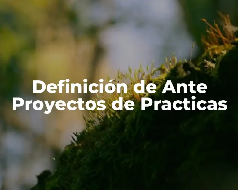 Definición de Ante Proyectos de Practicas