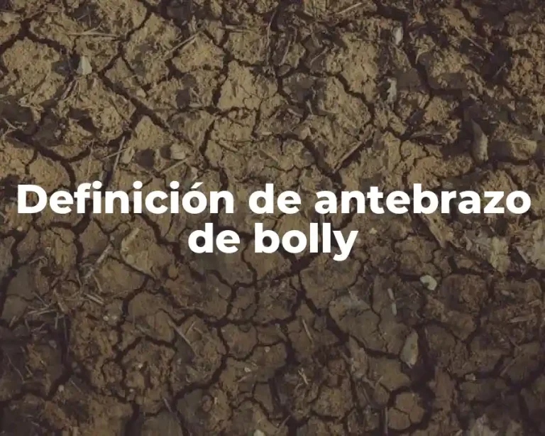 Definición de antebrazo de bolly