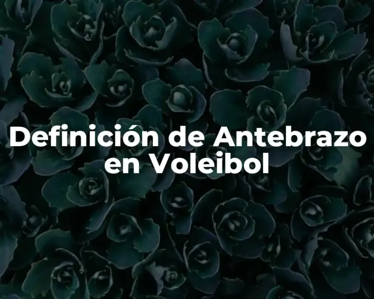 Definición de Antebrazo en Voleibol