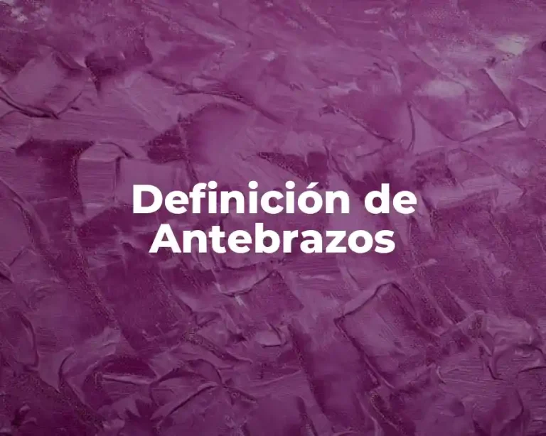 Definición de Antebrazos