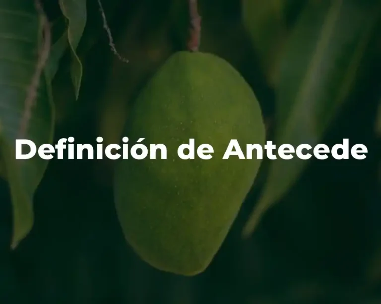 Definición de Antecede