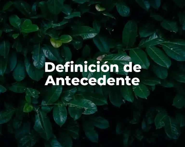 Definición de Antecedente