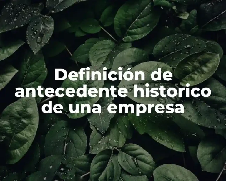 Definición de antecedente historico de una empresa